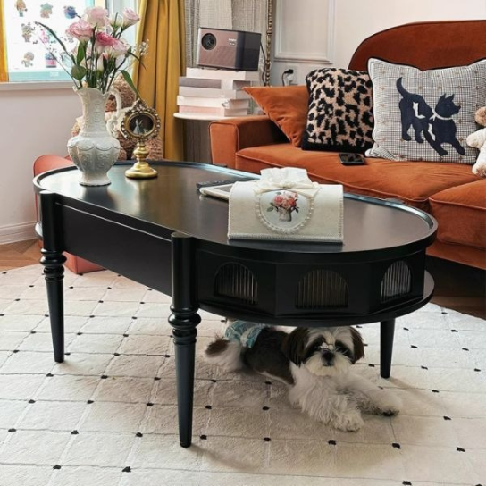 Rustic Mango Oval Shape Black Finish Modern Coffee Table for Living Room thumbnail 2